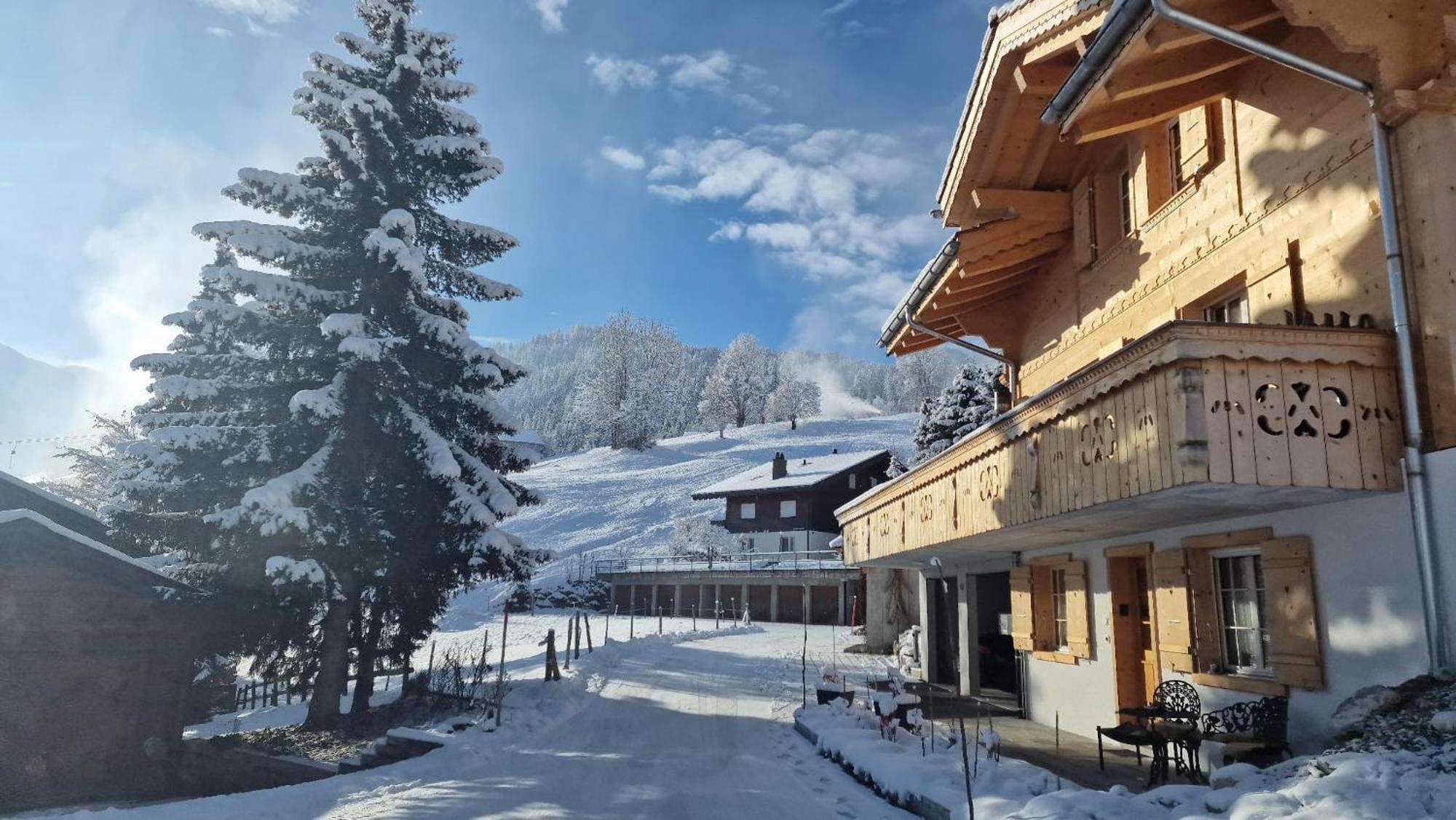 Large Deluxe Studio For 2 - Chalet Lovo Lenk Luaran gambar