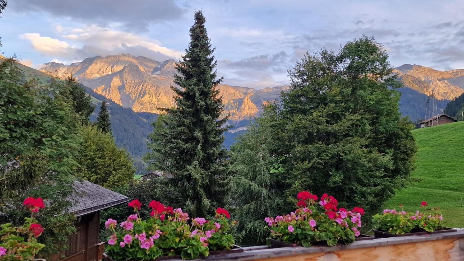Large Deluxe Studio For 2 - Chalet Lovo Lenk Luaran gambar