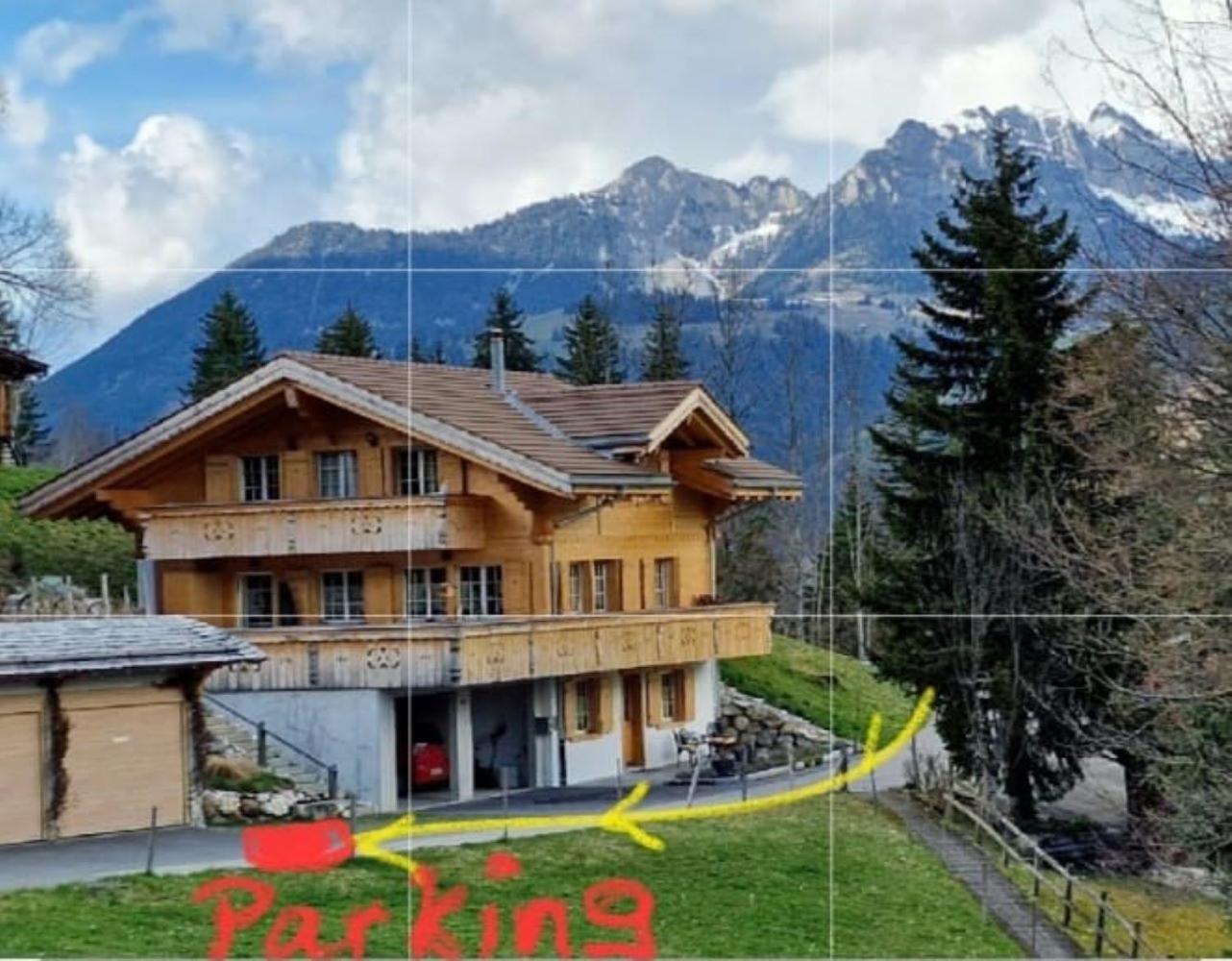 Large Deluxe Studio For 2 - Chalet Lovo Lenk Luaran gambar