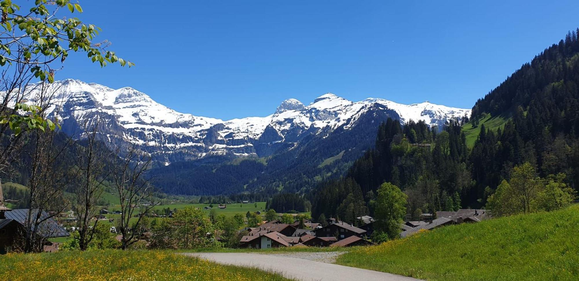 Large Deluxe Studio For 2 - Chalet Lovo Lenk Luaran gambar